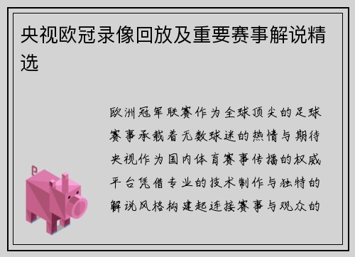 央视欧冠录像回放及重要赛事解说精选